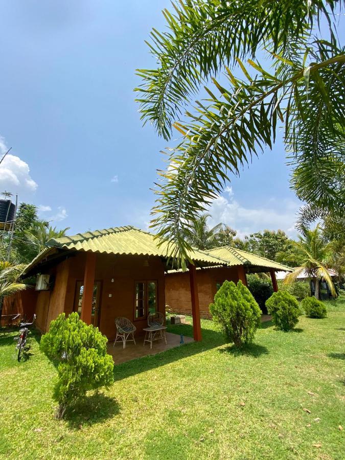 Hotel Wild Breeze Tissamaharama Exterior foto
