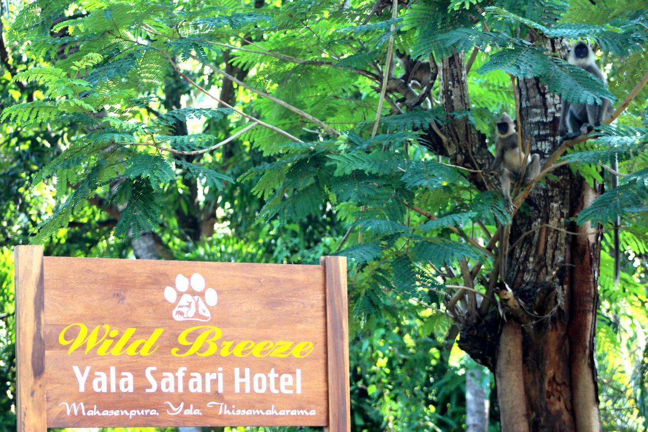Hotel Wild Breeze Tissamaharama Exterior foto